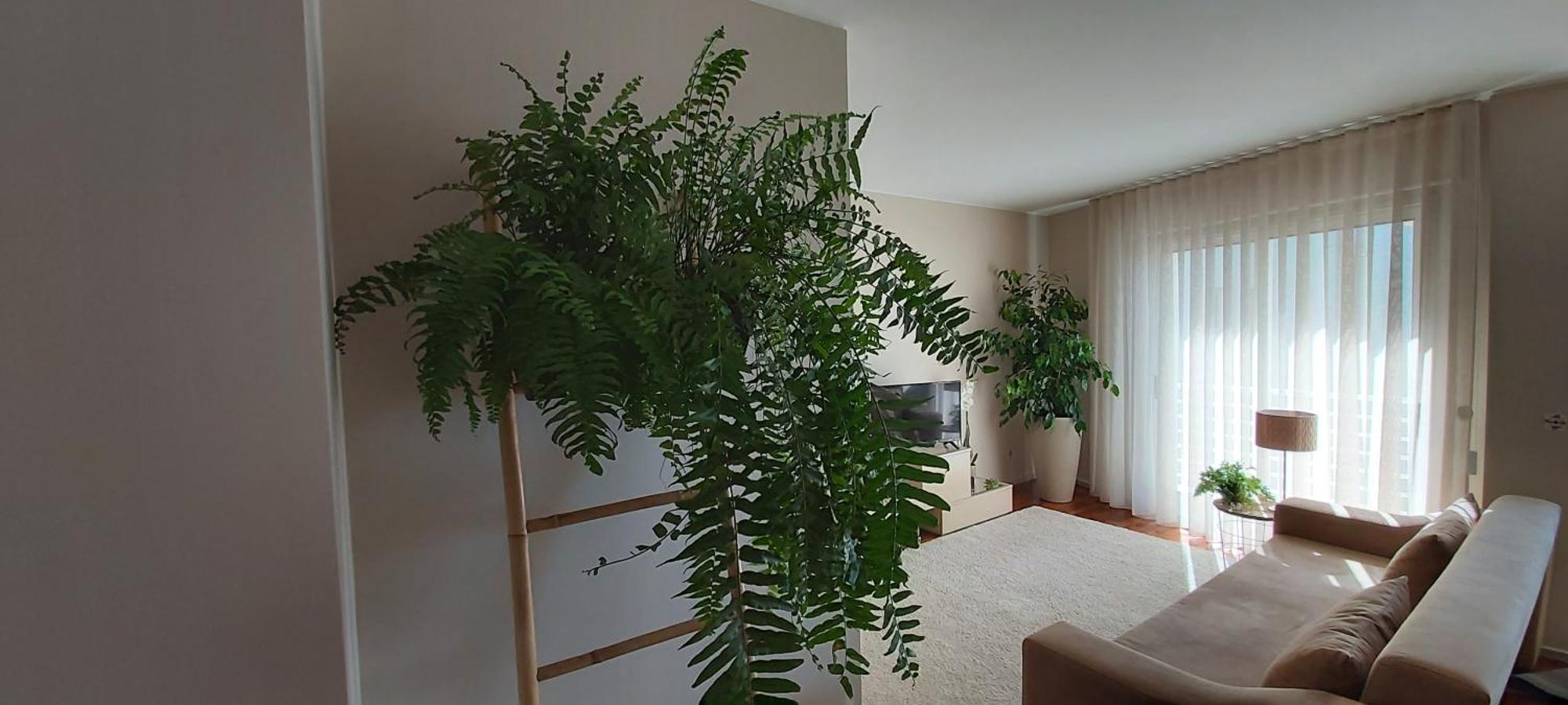 Jardim Na Praia Matosinhos  Room photo
